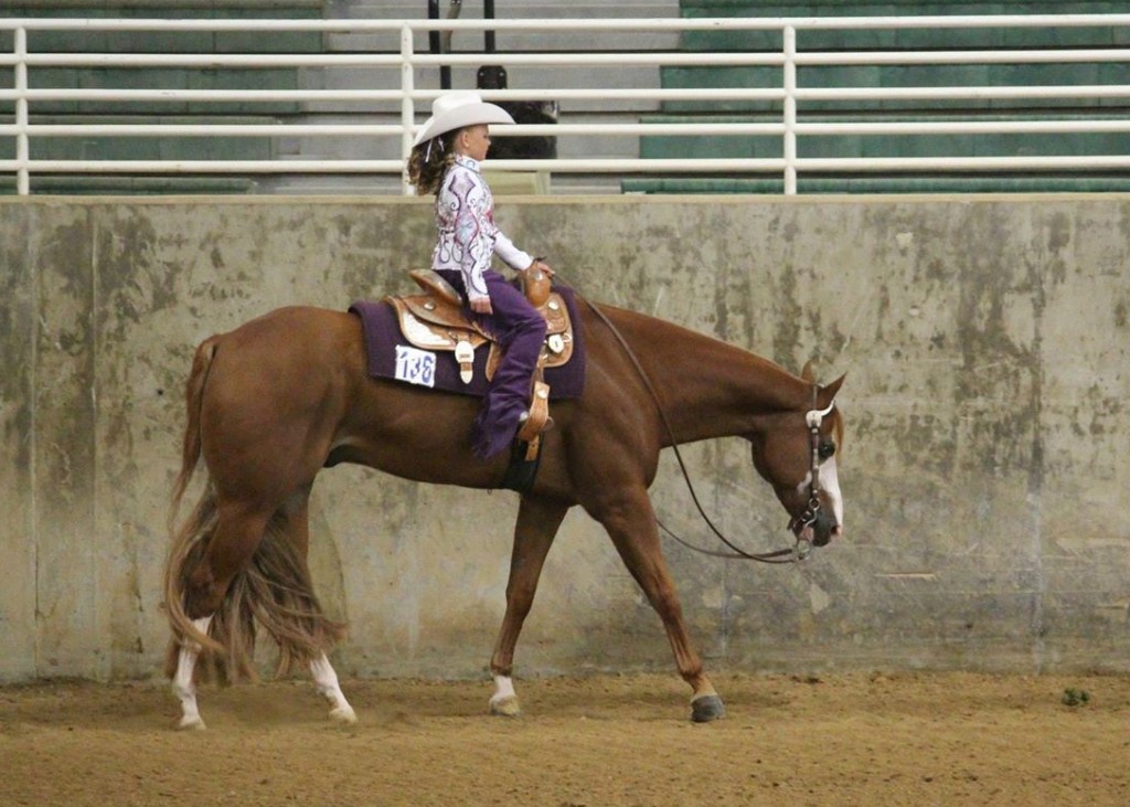 Results and Photos From Utah Paint Horse Show, March 2223