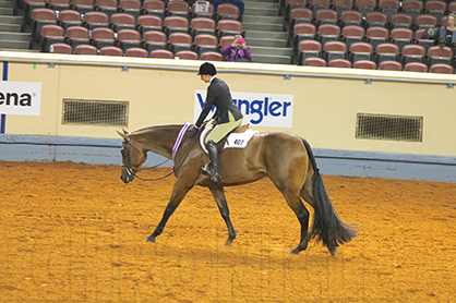 2,102 Qualified For 2014 AQHA Amateur and Open World Show