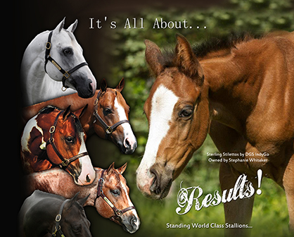 DeGraff Stables April 2014 Breeding Special