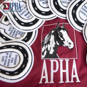 Image courtesy of APHA.