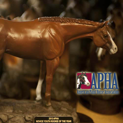 Cool, New Year-End Awards From APHA!