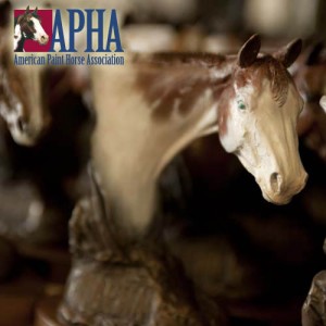 Image courtesy of APHA.