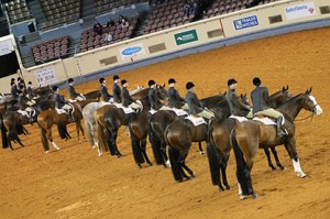 horse lineup