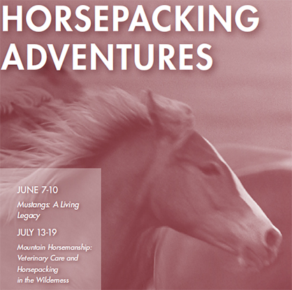 Trip of a Lifetime: Horsepacking Adventures Tracking Mustangs Through the Wilderness