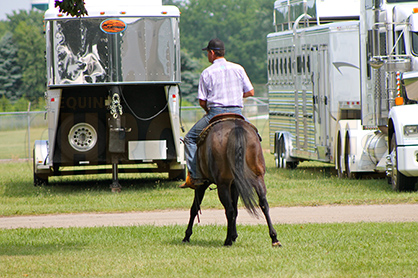 Don’t Let Ulcers Derail Your Horse This Show Season
