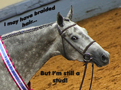 Hilarious Encounters With “Non-Horse Show” Folk