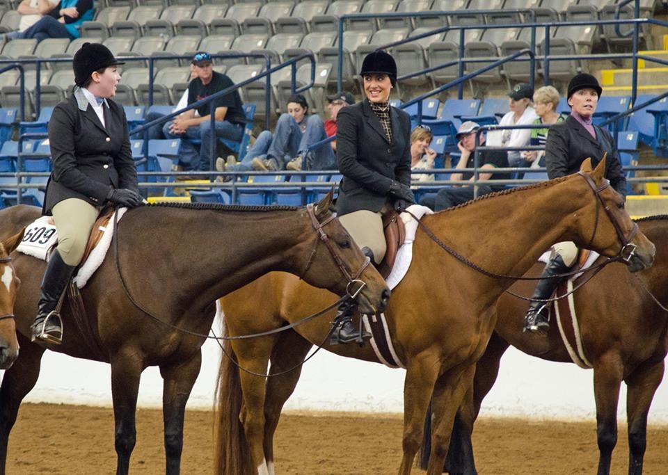 Find Out How to Qualify For 2014 AQHA Novice Championships in Rookie and Level 1 Classes