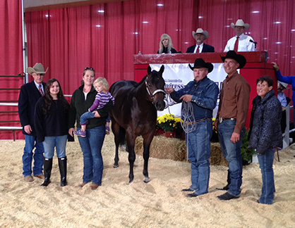 Gearing Up For 2014 Quarter Horse Congress Super Sale