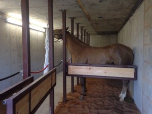Testing out the newly completed shelter. It's cozy! Photo courtesy of Mary Ellen Hickman.