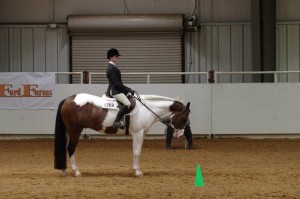 Charlie sports a sleeker look for an equitation class. Photo provided by Brandy Smith. 