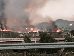 Photo courtesy of Woods' Western.