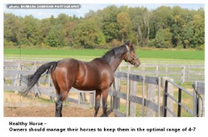 Owners should manage their horses to keep them in the optimal range of 4-7. Photo Credit: Barbara Sheridan Photography