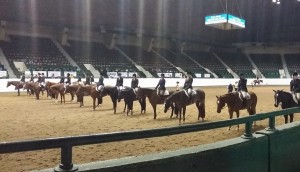 Youth 14-18 Hunter Under Saddle class