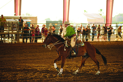 Can Your Trail Horse Do This? Extreme Mustang Makeover Trail Challenge