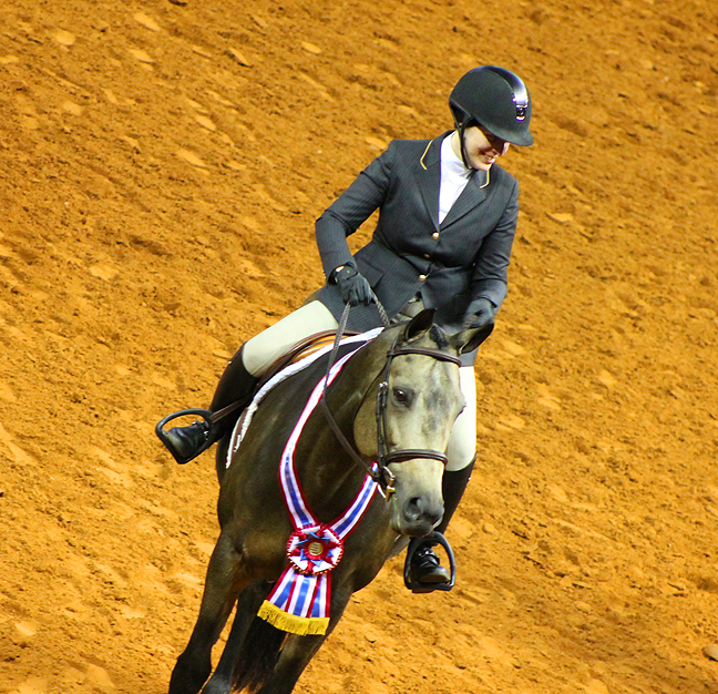 Working Orders Now Up For 2016 AQHA World Show