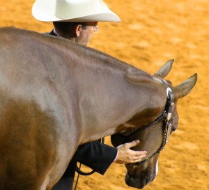 aqha_world_IMG_5532sm