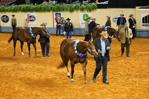 aqha_world_IMG_5602