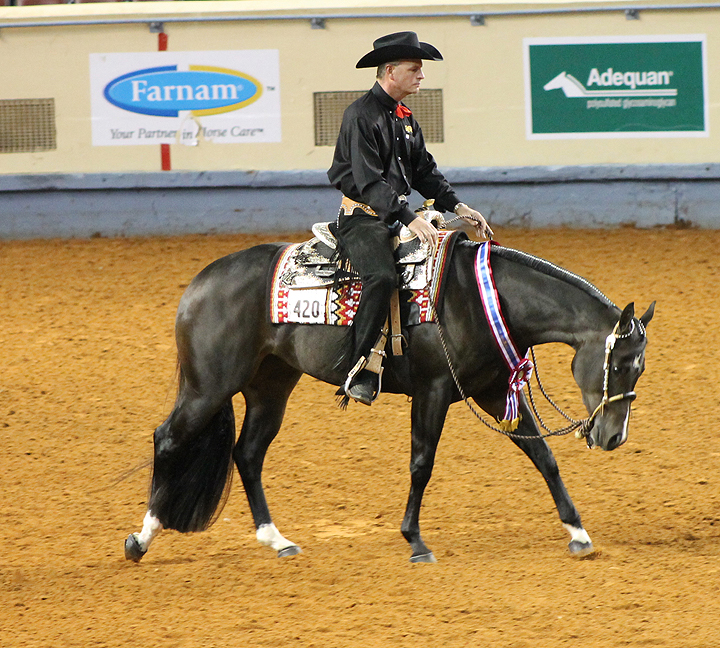 Qualifying Points Announced For 2018 Lucas Oil AQHA World Show