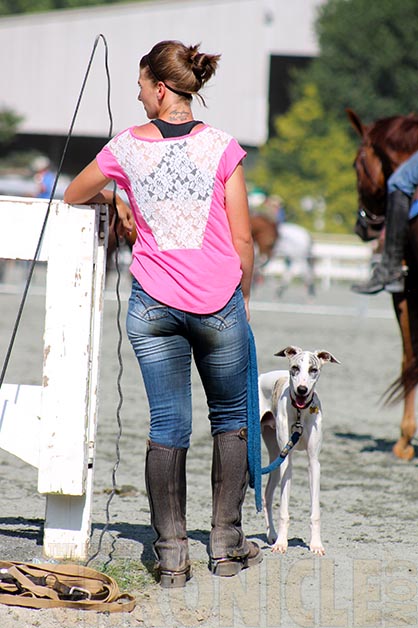 Do Bigger Brains Equal Smarter Barn Dogs?