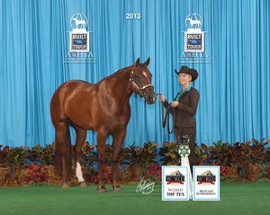 Makayla Flowers and Formally Yours at the 2013 AQHYA World Show. KC Montgomery Photo.