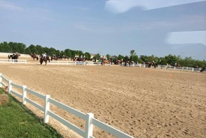 Ready for a beautiful day of showing horses outdoors! Photo courtesy of Mark Harrell Horse Shows.