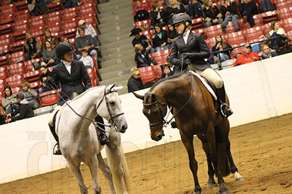 Do You Practice Good Biosecurity Measures While at the Horse Show?