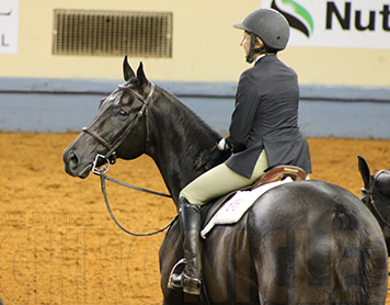 AQHYA Sponsoring Interscholastic Equestrian Association Hunt Seat National Finals