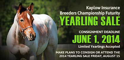 Deadline to Consign Yearlings For Kaplow Insurance Breeders Championship Futurity Sale is June 1st