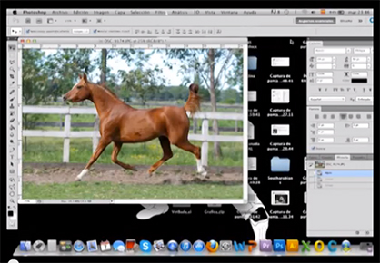 Wacky Wednesday: Caution Online Buyers- Photoshop Tricks to Alter a Horse’s Appearance