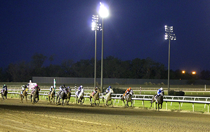 AQHA Opposes New Legislation That Threatens Horse Racing Industry