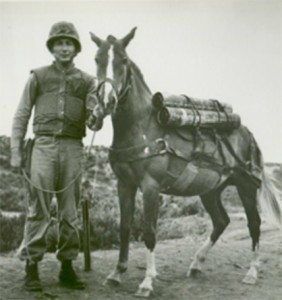 Photo courtesy of Sgt. Reckless website. 