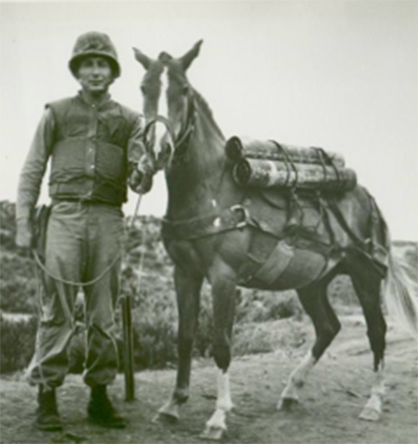 Find Out More About The Horse That Was a Marine…