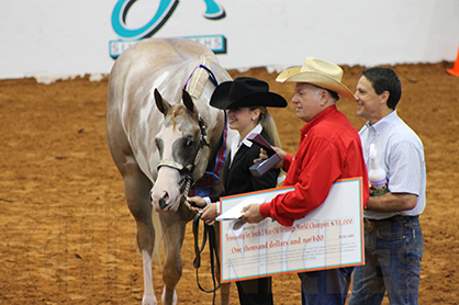 $36,000 in Scholarships Will Be Awarded at 2014 AjPHA Youth World Show