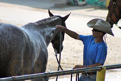 How to Check Heart Rate and Monitor Sweat Patterns to Keep Your Horse Safe