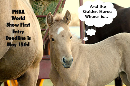Dreaming of Being a Golden Horse Winner? 2014 PHBA World Show First Entry Deadline is May 15th