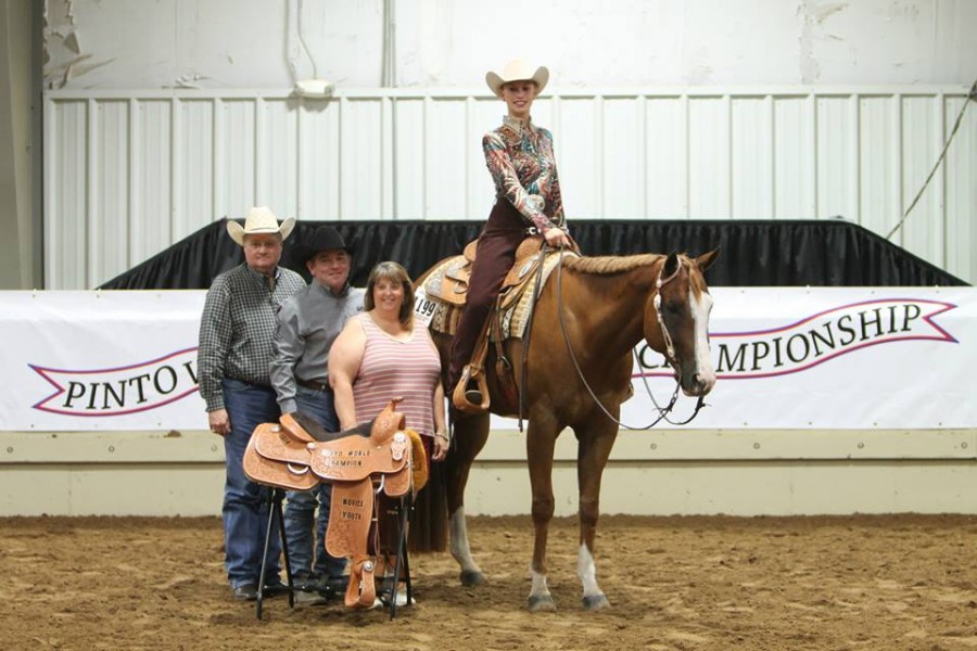 Final Day of 2014 Pinto World Show Results and Photos Equine Chronicle