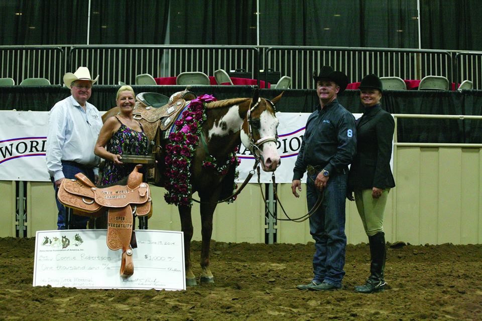 Day 11 Results and Photos From 2014 Pinto World Show Equine Chronicle