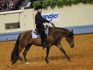 Jason Martin aboard Harley D Zip during one of his final performances at the AQHA World Show. 