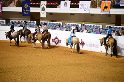 Elite Custom Saddles Sweepstakes Coming to 2016 Appaloosa Nationals