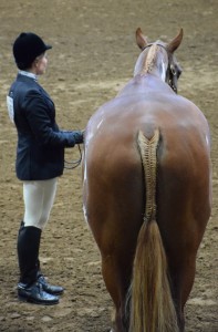 Emma Stubblefield and Too Hot To (Hank). Photo courtesy of Amy Judson.