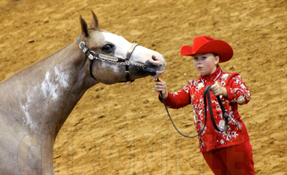 Day 1 Photos at 2014 AjPHA Youth World Show