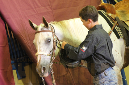 Day 1 Photos at 2014 ApHC Youth World Show