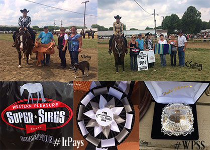 Jessica Olsen and Sleepin N Paradise and Sharnai Thompson and Rock County Kid Win 2014 Western Pleasure Super Sires Classes