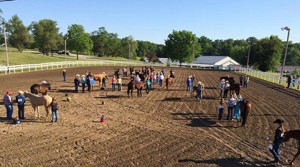 Photo courtesy of Mark Harrell Horse Shows.