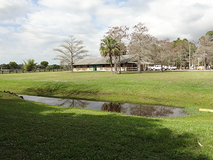 Equestrian Cribs: 19.54 Acre Wellington, Florida Property
