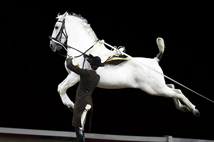 TV Documentary Gives Behind-the-Scenes Look at World Famous Riding School in Vienna