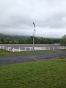 One of the beautiful outdoor arenas.