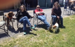 Rhonda Replogle's clients enjoying the nice weather.