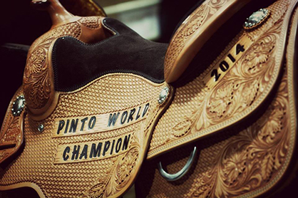 Schedule and Judges Announced For 2015 Pinto World Show