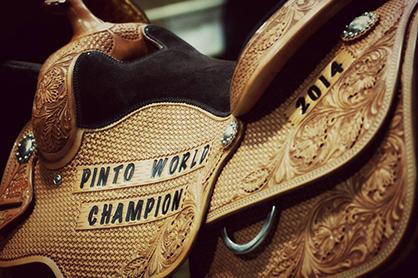 2015 Pinto World Show Premium Book Now Online